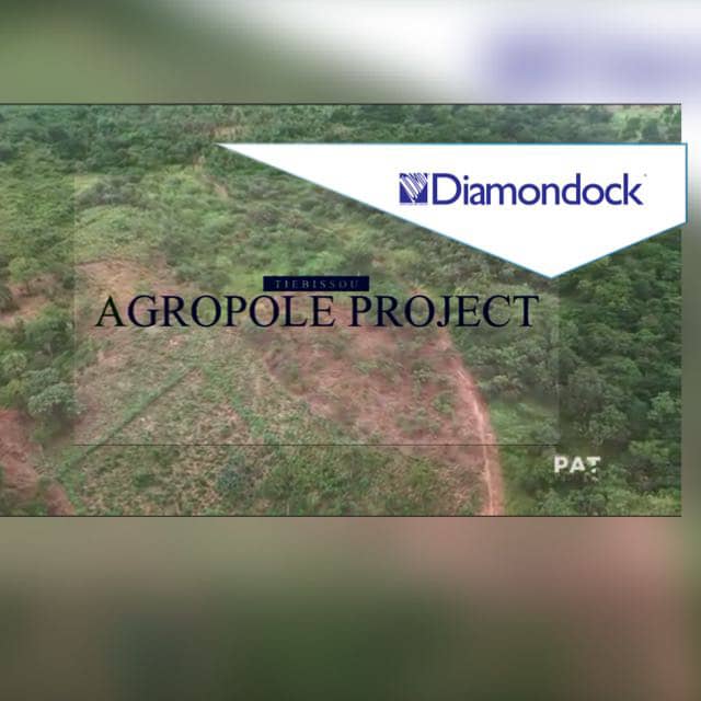 (PAT) Projet Agro pôle de Tiébissou